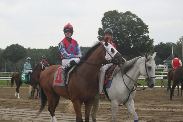 saratoga race track saratoga race track